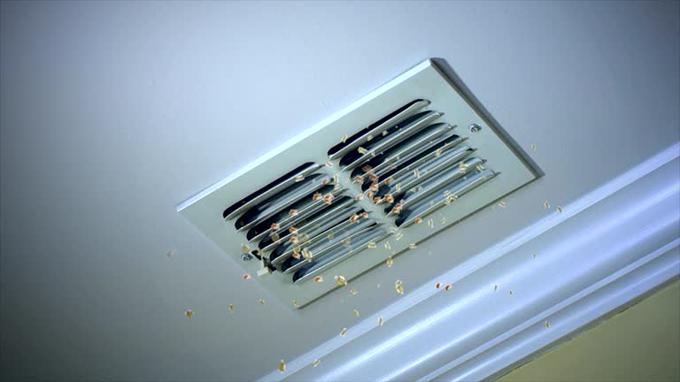Best Duct Cleaning for Homes  in Fairbanks Ranch, CA